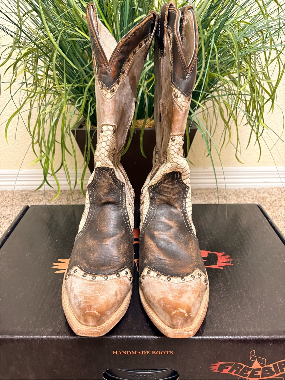 Freebird Boots - Picture 3 of 8